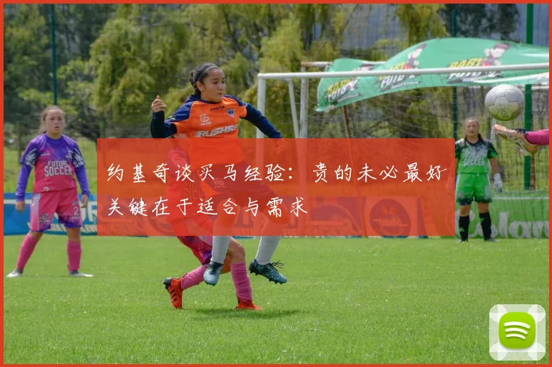 约基奇谈买马经验：贵的未必最好关键在于适合与需求